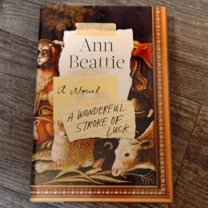 A Wonderful Stroke of Luck - Ann Beattie A Novel